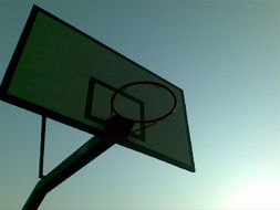 一呼百应公司频道 软件开发领域的创新引擎与协作平台